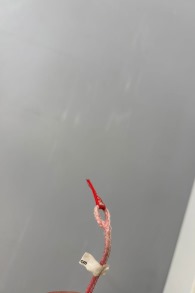 Duotone Kiteboarding-Rebel SLS 2024 Kite (2nd)