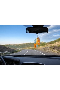 FreshKitesurfing-Car Air Freshener