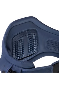 ION-Apex 2025 Harness