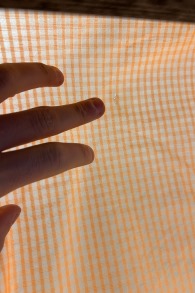 Naish-Boxer 2023 Kite (2nd)