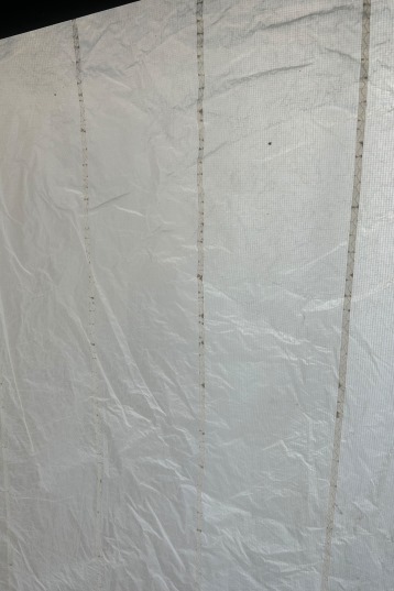 Cabrinha-Drifter 2024 Kite (2nd)