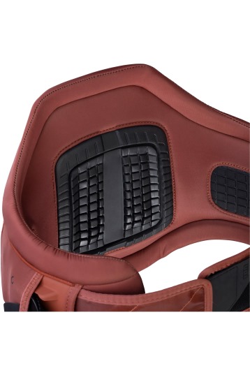 ION-Apex 2025 Harness