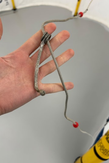 Naish-Pivot NVision 2026 Kite (DEMO)