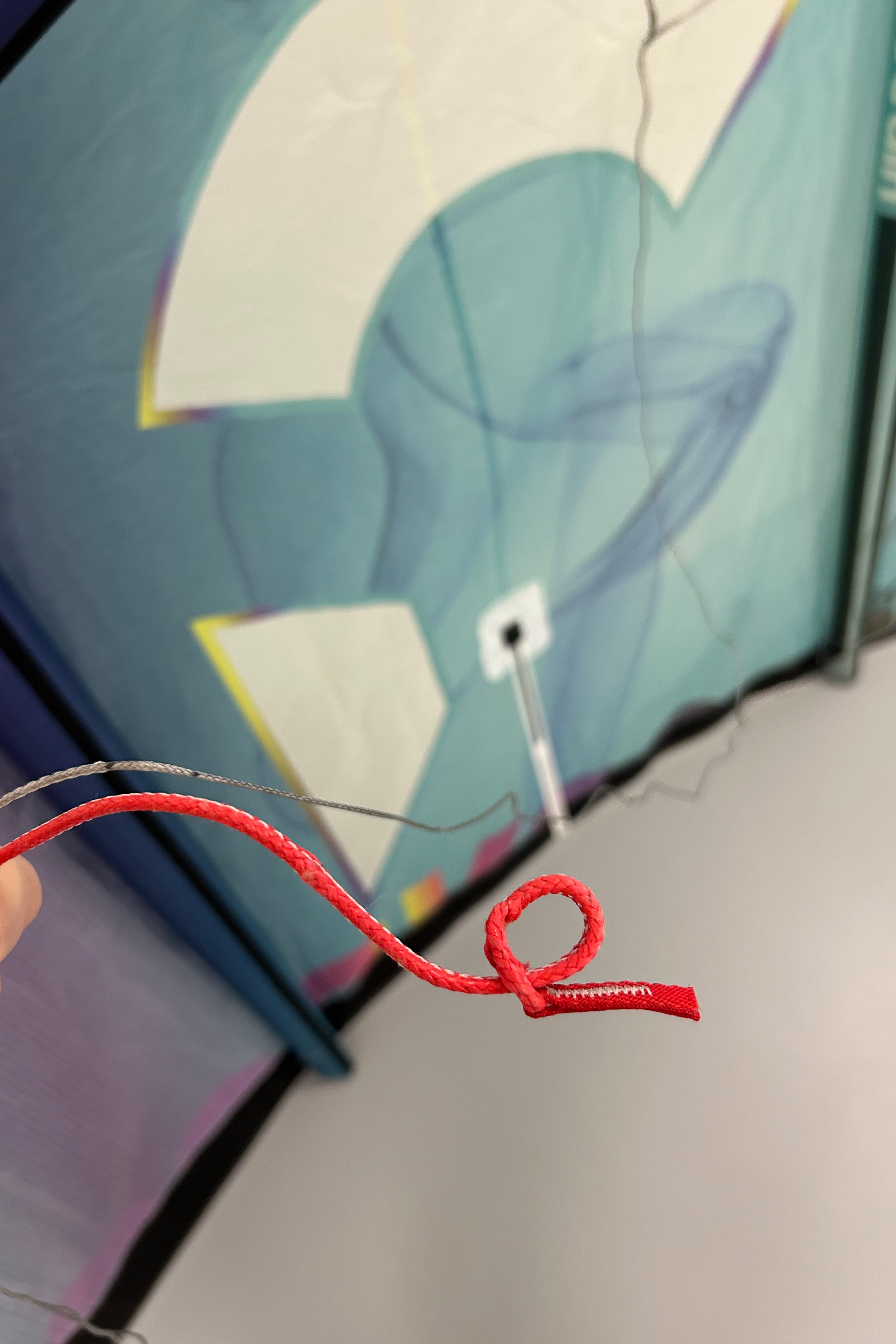 Reedin Kiteboarding-Master Model 2026 Kite (DEMO)